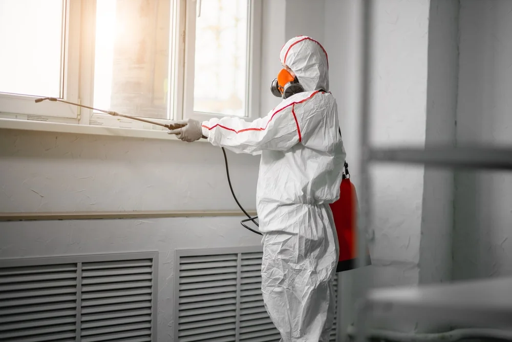 Professional mold remediation services in Hyannis Port, MA